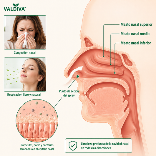 SinusClear™ | SPRAY HERBAL PURIFICANTE