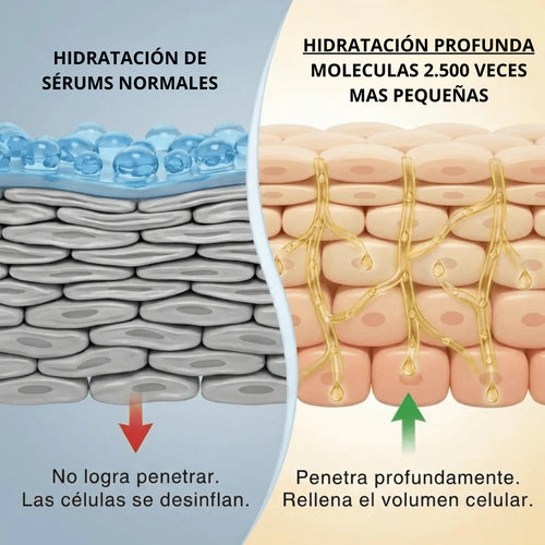 Deep Collagen® | Sérum  coreano con 30 péptidos de seda